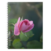 Rosa Rose Notizblock (Vorderseite)