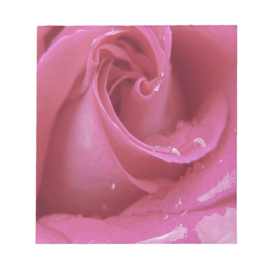 Rosa Rose Notizblock (Vorderseite)