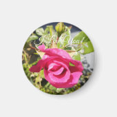 Rosa Rose Nr. 2 Magnet (Vorne)