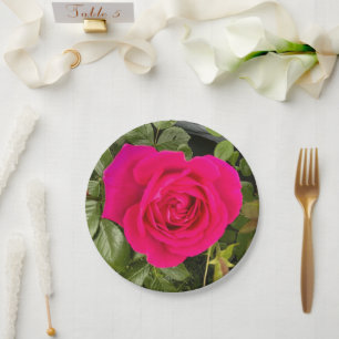 Rosa Rose Nr. 4 Pappteller