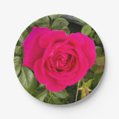 Rosa Rose Nr. 4 Pappteller (Vorderseite)