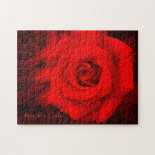 Rosa "Rose Osaka" [Jigsaw Puzzle: 252P] Puzzle