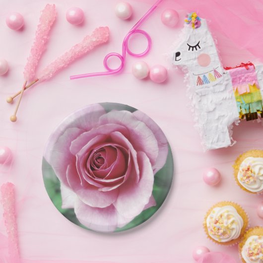 Rosa Rose Pappteller (Party)