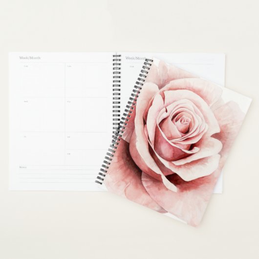 Rosa Rose Planer (Anzeige)