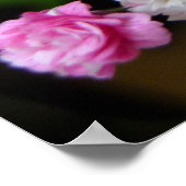 Rosa Rose Poster (Ecke)