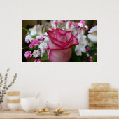 Rosa Rose Poster (Küche)
