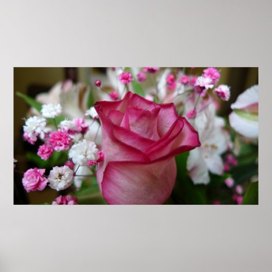 Rosa Rose Poster (Vorne)