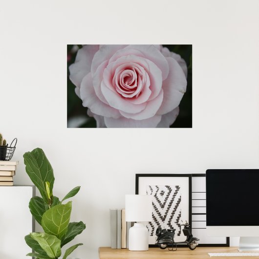 Rosa Rose Poster (Heimbüro)
