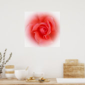 Rosa Rose Poster (Küche)