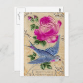 Rosa Rose Postkarte (Vorne/Hinten)
