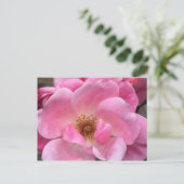 Rosa Rose Postkarte (Stehend Vorderseite)