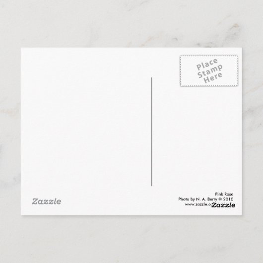 Rosa Rose Postkarte (Rückseite)