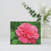 Rosa Rose Postkarte (Stehend Vorderseite)