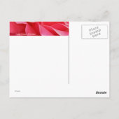 Rosa Rose Postkarte (Rückseite)