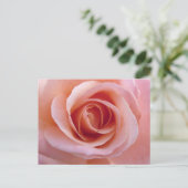 Rosa Rose Postkarte (Stehend Vorderseite)