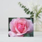 Rosa Rose Postkarte (Stehend Vorderseite)