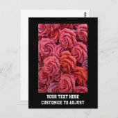 Rosa Rose Postkarte (Vorne/Hinten)