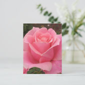 Rosa Rose Postkarte (Stehend Vorderseite)