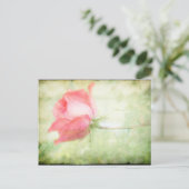 Rosa Rose Postkarte (Stehend Vorderseite)