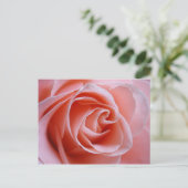 Rosa Rose Postkarte (Stehend Vorderseite)