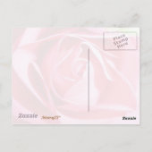 Rosa Rose Postkarte (Rückseite)