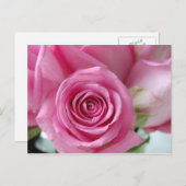 Rosa Rose Postkarte (Vorne/Hinten)