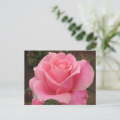 Rosa Rose Postkarte (Stehend Vorderseite)