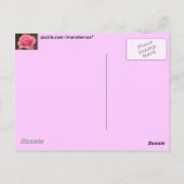 Rosa Rose Postkarte (Rückseite)