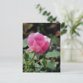 Rosa Rose Postkarte (Stehend Vorderseite)