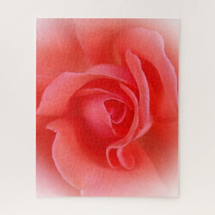 Rosa Rose Puzzle