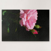 Rosa Rose Puzzle (Horizontal)
