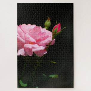 Rosa Rose Puzzle