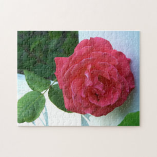 Rosa Rose Puzzle