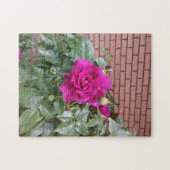 Rosa Rose Puzzle (Horizontal)