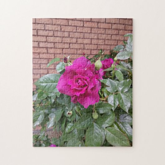 Rosa Rose Puzzle (Vertikal)