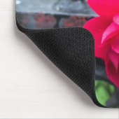 Rosa Rose Raindrops Dew Garden Gate Foto Mousepad (Ecke)