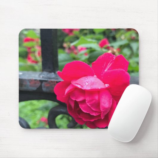 Rosa Rose Raindrops Dew Garden Gate Foto Mousepad (Mit Mouse)