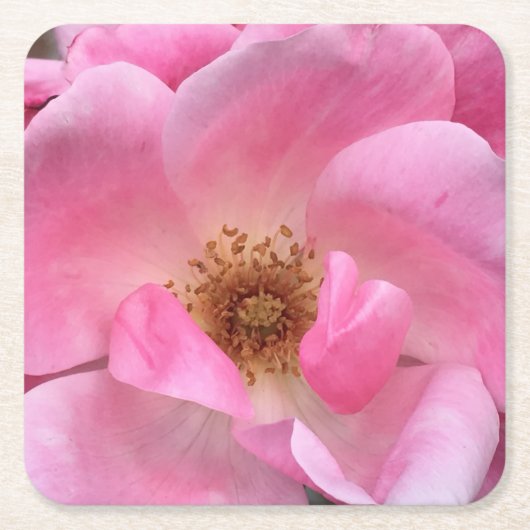 Rosa Rose Rechteckiger Pappuntersetzer (Vorderseite)