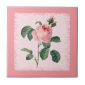 Rosa Rose Redoute Keramik-Fliese Fliese (Vorderseite)
