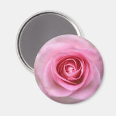Rosa Rose Round Magnet (Vorderseite/Rückseite)