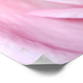 Rosa Rose, S Cyr Poster (Ecke)