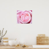 Rosa Rose, S Cyr Poster (Küche)
