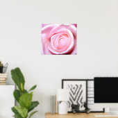 Rosa Rose, S Cyr Poster (Heimbüro)
