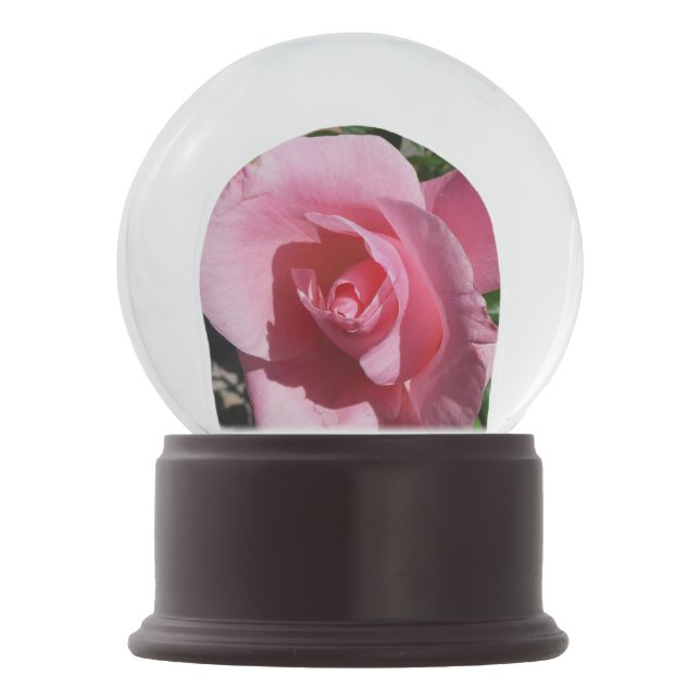 Rosa Rose Schneekugel (Vorderseite)