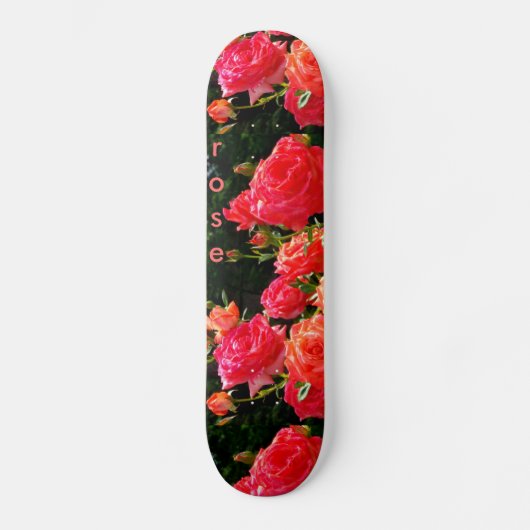 Rosa Rose Skateboard (Vorderseite)