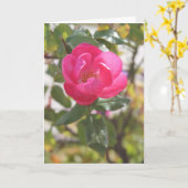 Rosa Rose - spezielle Freundschaft Karte (Gelbe Blume)