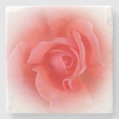 Rosa Rose Steinuntersetzer (Vorderseite)