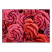 Rosa Rose Tischnummer (Rückseite)