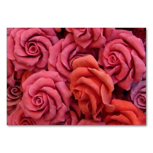 Rosa Rose Tischnummer (Rückseite)