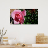 Rosa Rose und Bud Garden Poster (Küche)
